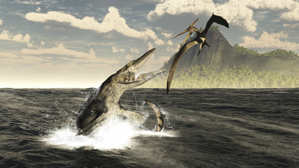 A Tylosaurus jumps out of the water attacking a Pteranodon Canvas Art - Arthur DoretyStocktrek Images (19 x 11)