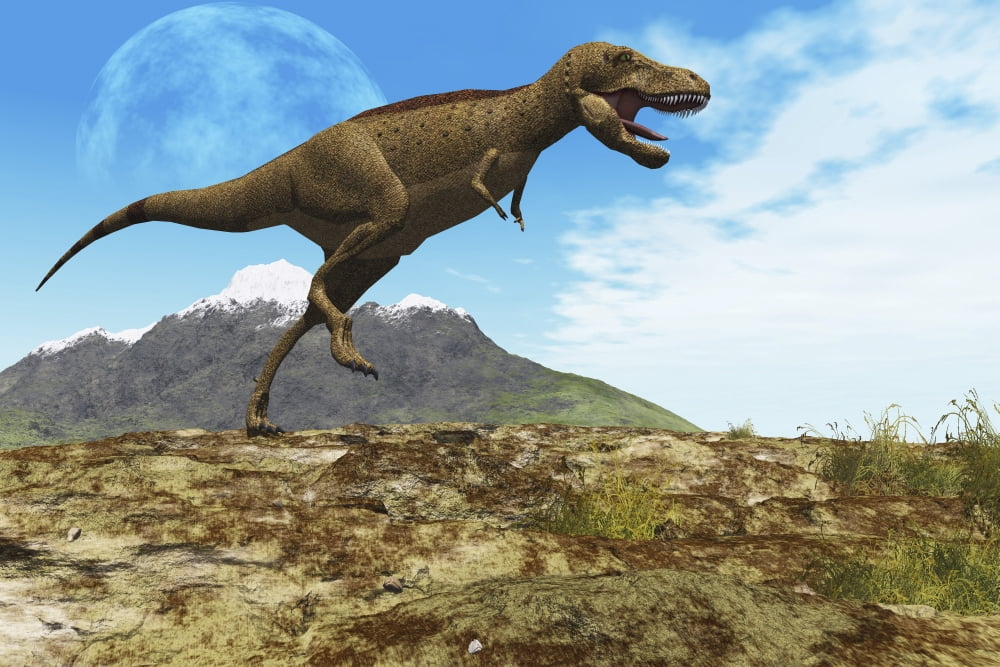 A Tyrannosaurus Rex dinosaur walks through his territory Canvas Art - Corey FordStocktrek Images (18 x 12)
