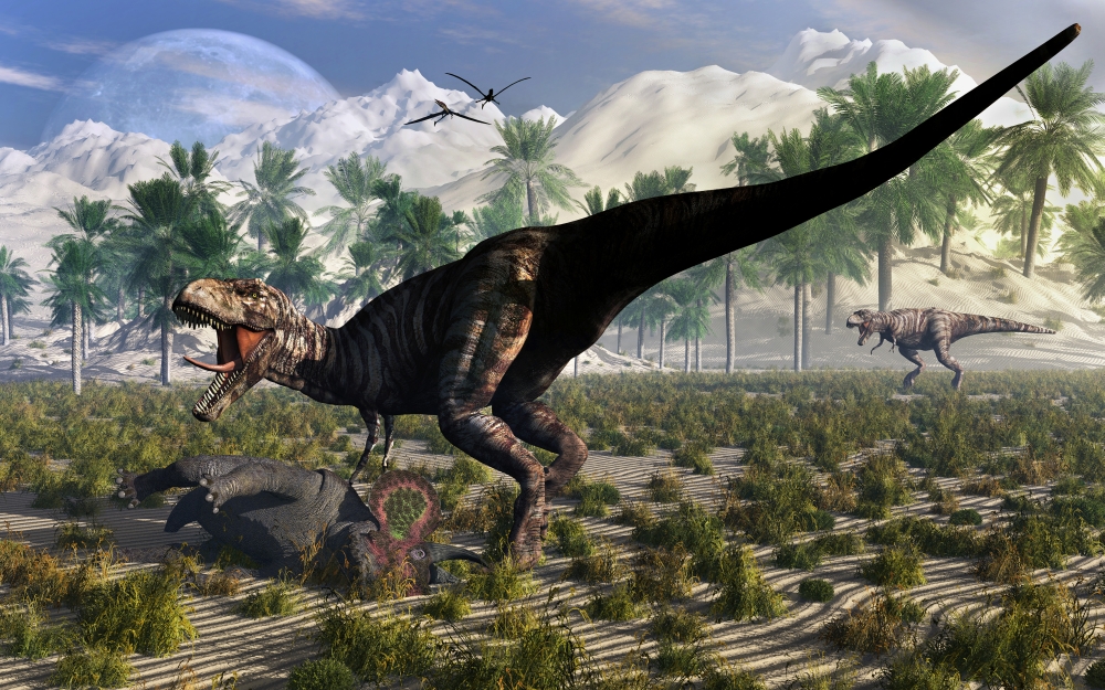 A Tyrannosaurus Rex guards its meal of a juvenile Triceratops Canvas Art - Mark StevensonStocktrek Images (36 x 23)