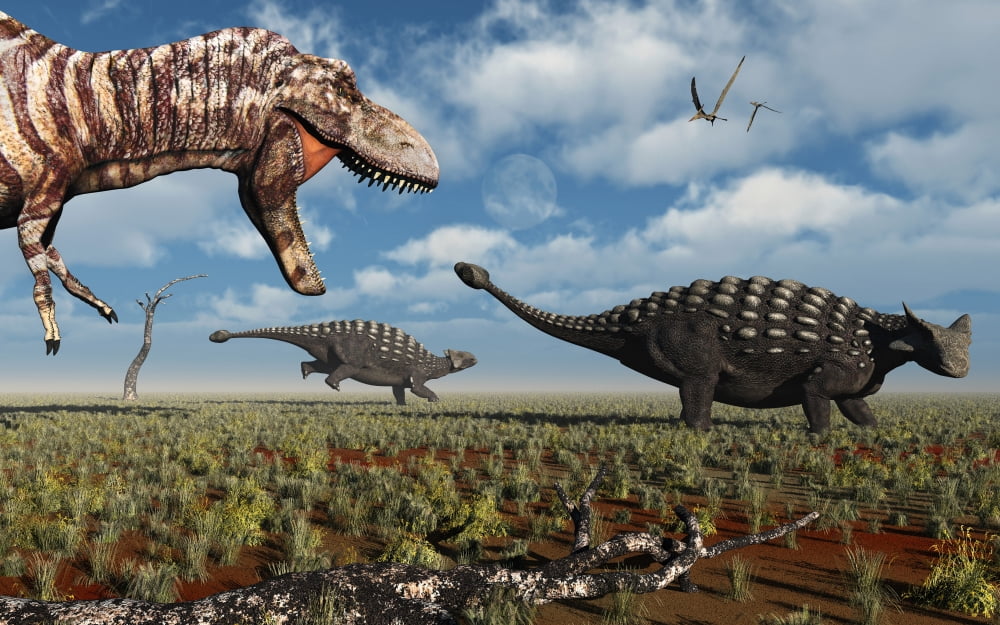 A Tyrannosaurus Rex hunting down a pair of Ankylosaurus dinosaurs Canvas Art - Mark StevensonStocktrek Images (36 x 23)