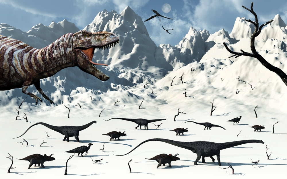 A Tyrannosaurus Rex stalks a mixed herd of herbivorous dinosurs Canvas Art - Mark StevensonStocktrek Images (36 x 23)