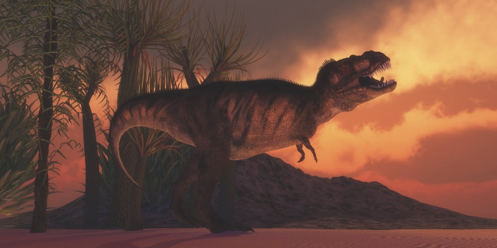 A Tyrannosaurus rex dinosaur roars to claim his territory Canvas Art - Corey FordStocktrek Images (40 x 20)