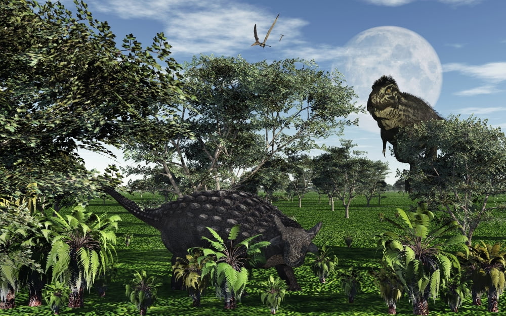 A Tyrannosaurus rex stalking a herbivorous Ankylosaurus Canvas Art - Mark StevensonStocktrek Images (36 x 23)