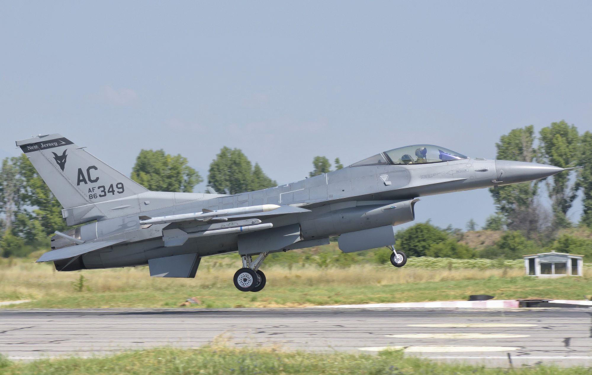 A US Air Force F-16 during Exercise Thracian Star in Bulgaria Canvas Art - Giovanni CollaStocktrek Images (35 x 22)