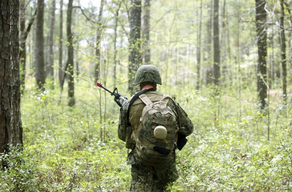 A US Marine patrols through a forest during a field exercise Canvas Art - Stocktrek Images (35 x 23)