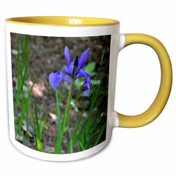 3drose, a Unique Looking Iris, 15oz Two-tone Yellow Mug