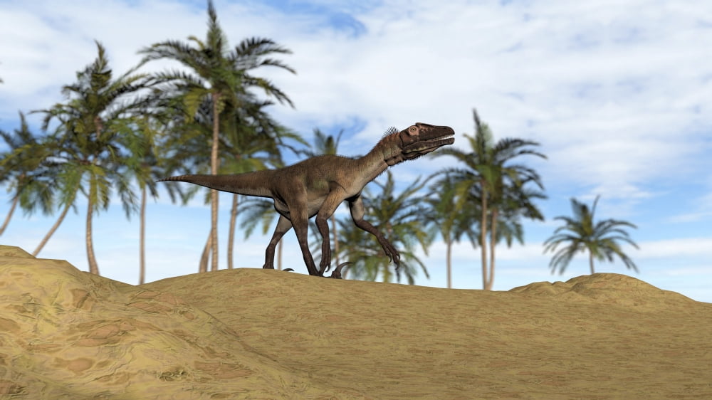 A Utahraptor walking in a prehistoric environment Canvas Art - Kostyantyn IvanyshenStocktrek Images (19 x 11)