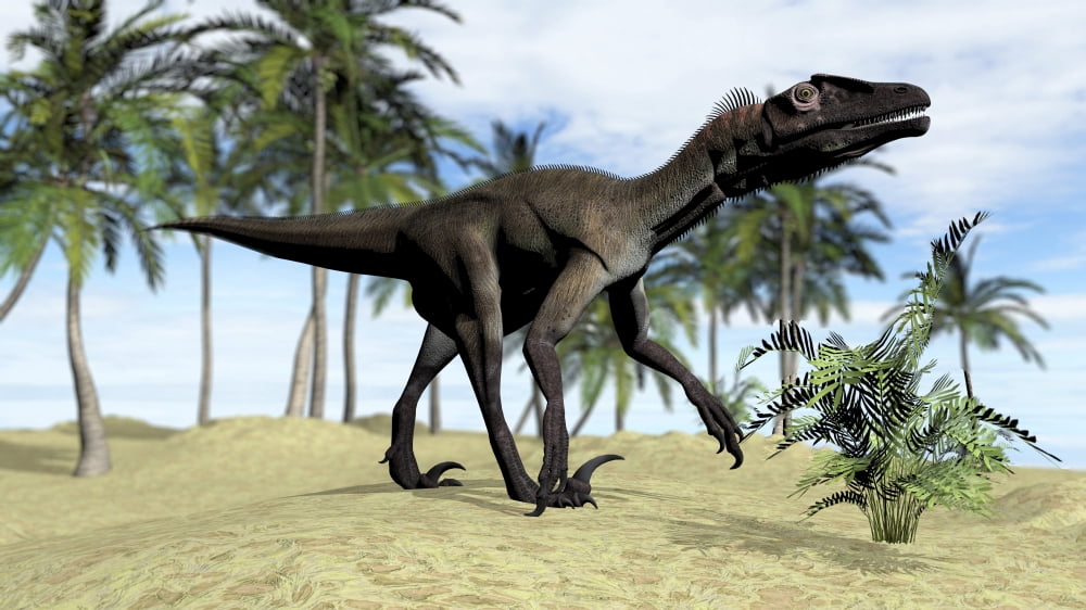 A Utahraptor walking in a tropical environment Canvas Art - Kostyantyn IvanyshenStocktrek Images (38 x 22)