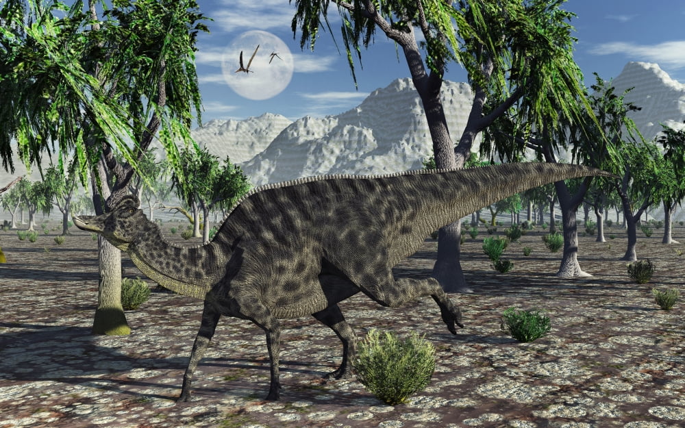 A Velafrons hadrosaurid dinosaur from the Cretaceous Period Canvas Art - Mark StevensonStocktrek Images (36 x 23)