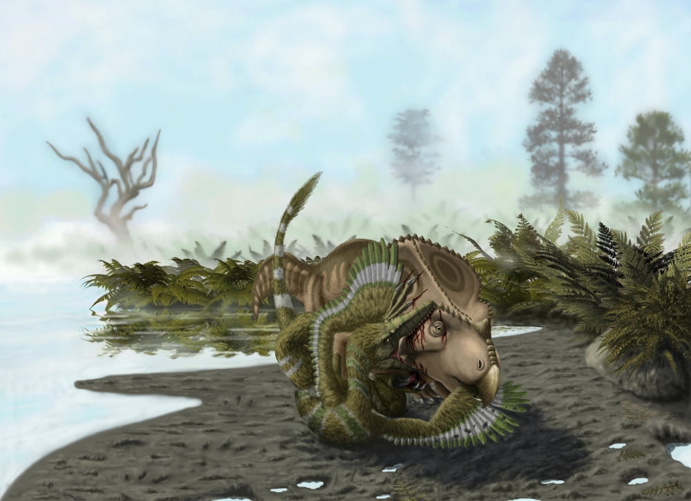 A Velociraptor attacks a Protoceratops Canvas Art - Yuriy PriymakStocktrek Images (33 x 24)