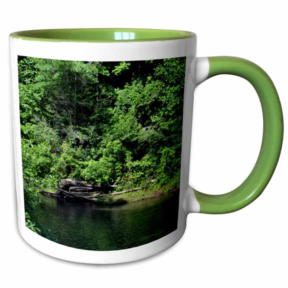3drose, a View of a Creek in North Ga Mountains, 11oz Two-tone Green Mug
