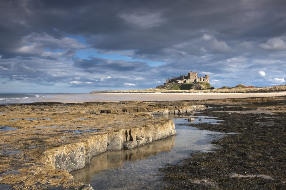 A View Of Bamburgh Castle Bamburgh Northumberland England Canvas Art - John Short Design Pics (38 x 24)