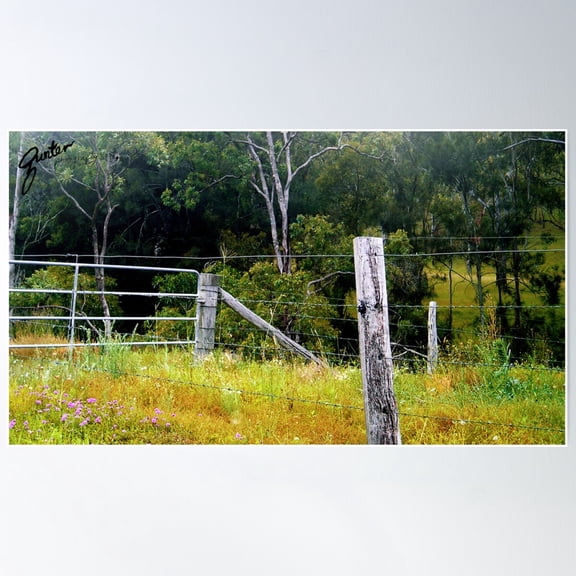 A View Of Murphys Creek Poster Wall Art, Modern Wall Decor For Living Room Bedroom, 8x12 UNFRAMED