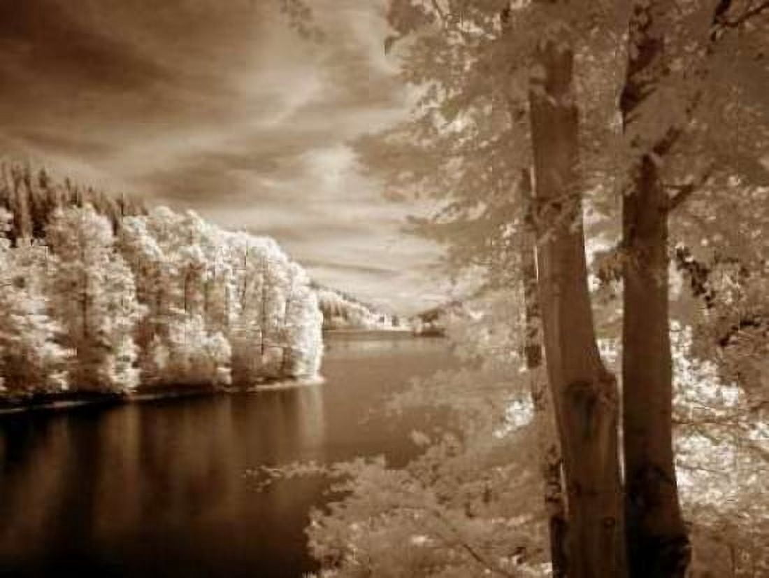 A View To Remember Canvas Art - Ily Szilagyi (18 x 24)