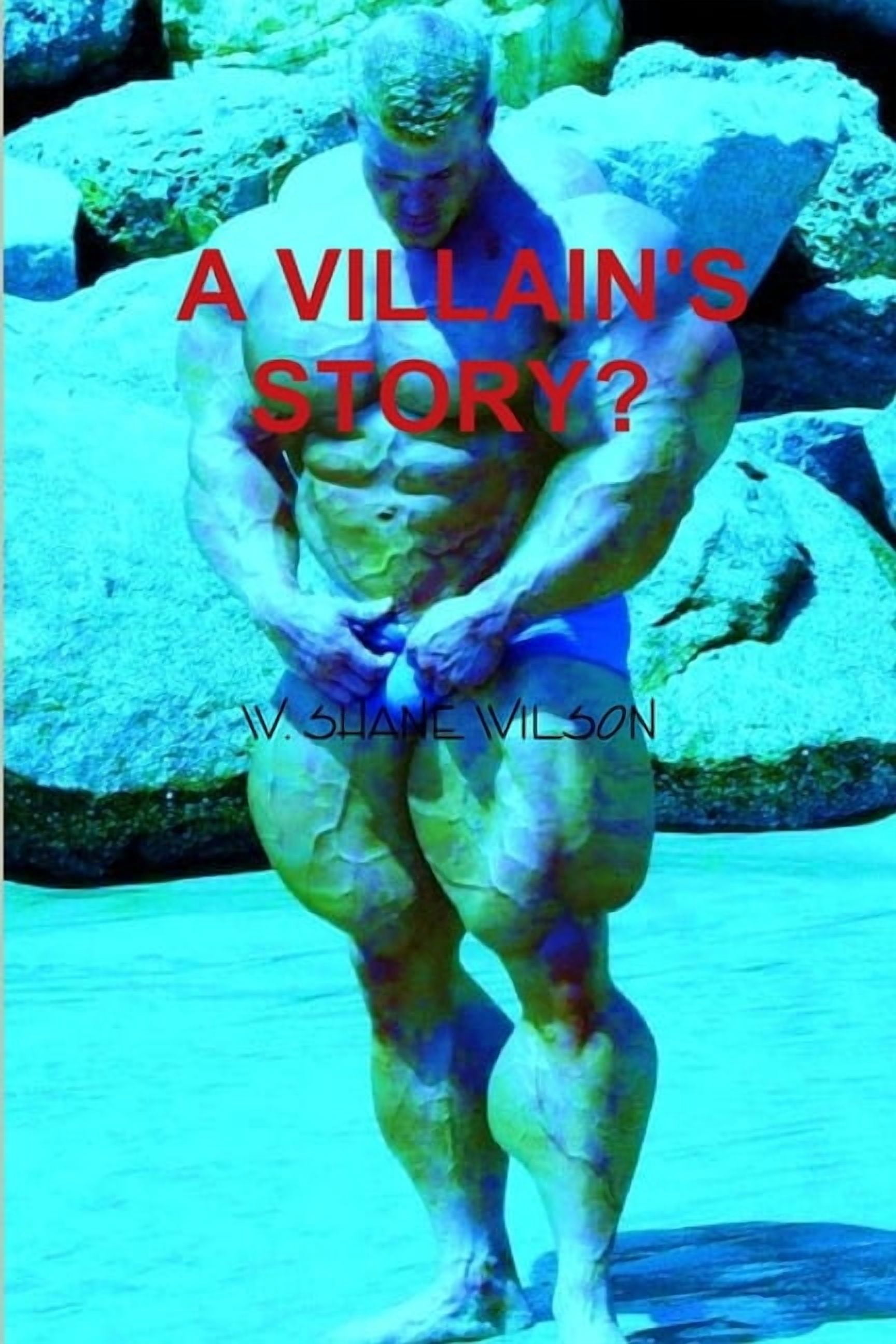 A Villain's Story?, (Paperback)