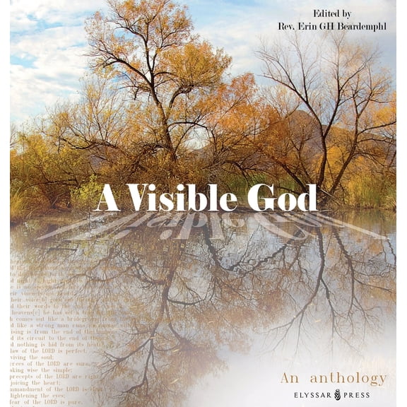 A Visible God, (Hardcover)