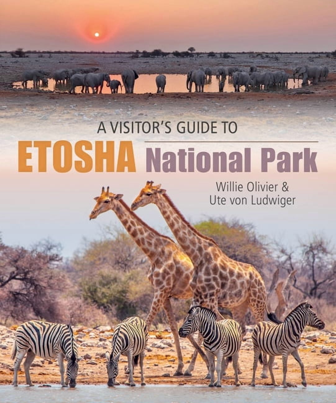A Visitor's Guide to Etosha National Park, (Paperback)