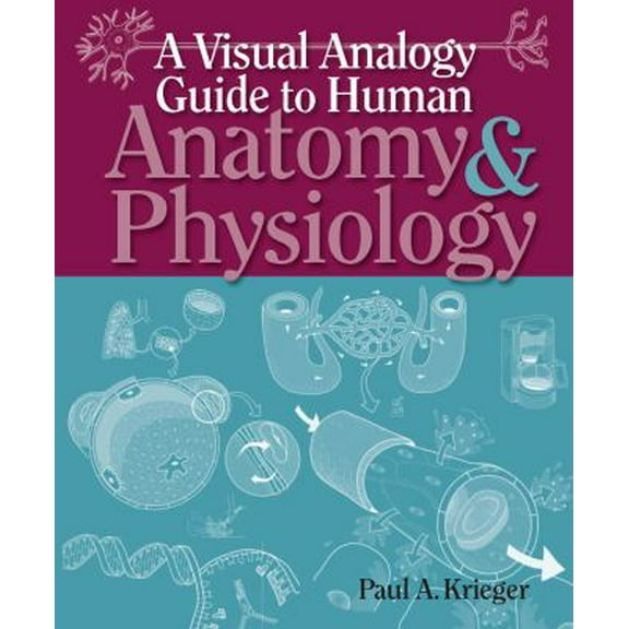 Pre-Owned A Visual Analogy Guide to Human Anatomy & Physiology, 9780895828019, Paperback, 1st