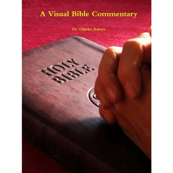 A Visual Bible Commentary (Paperback)