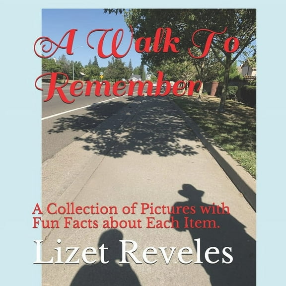 A Walk To Remember (Paperback)