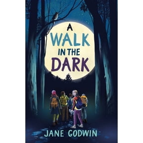 A Walk in the Dark (Paperback)