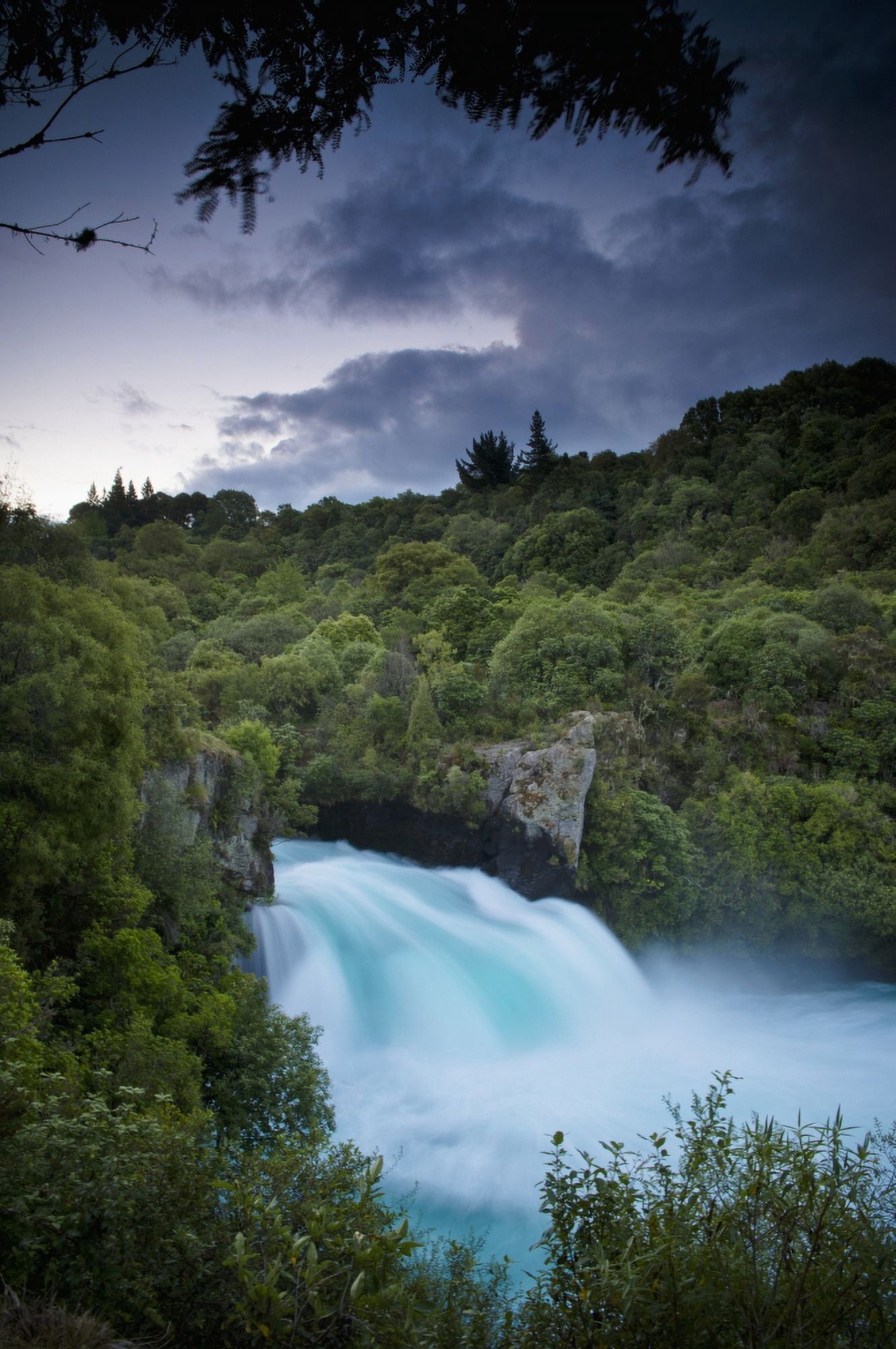 A Waterfall Surrounded By A Forested Area New Zealand Canvas Art - David DuChemin Design Pics (24 x 38)
