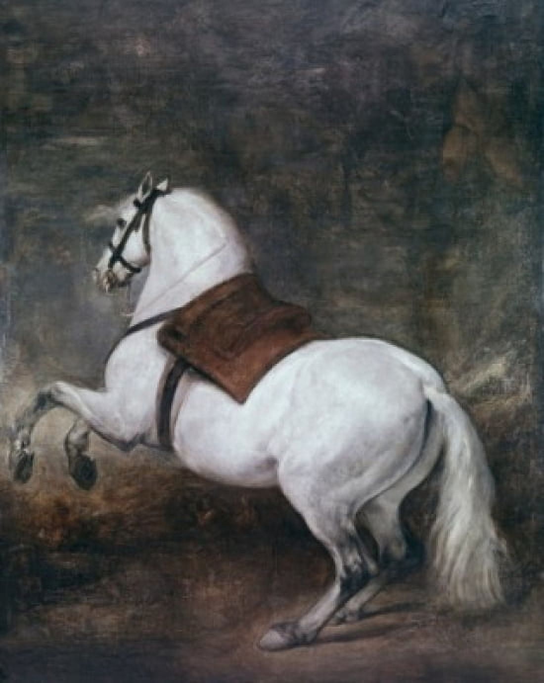A White Horse ca 1634-35 Diego Velazquez (1599-1660 Spanish) Oil on canvas Palacio Real Madrid Spain Canvas Art - Diego Velazquez (18 x 24)