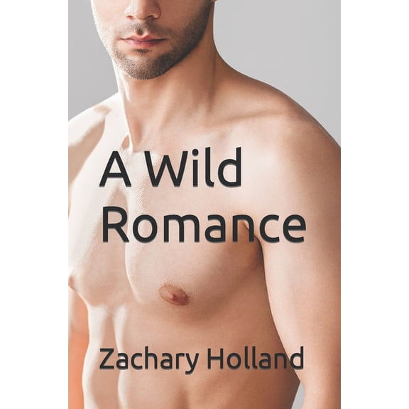 A Wild Romance (Paperback)