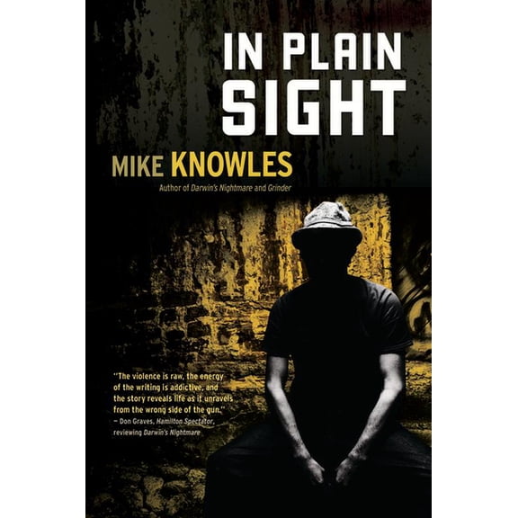 A Wilson Mystery: In Plain Sight (Series #3) (Hardcover)
