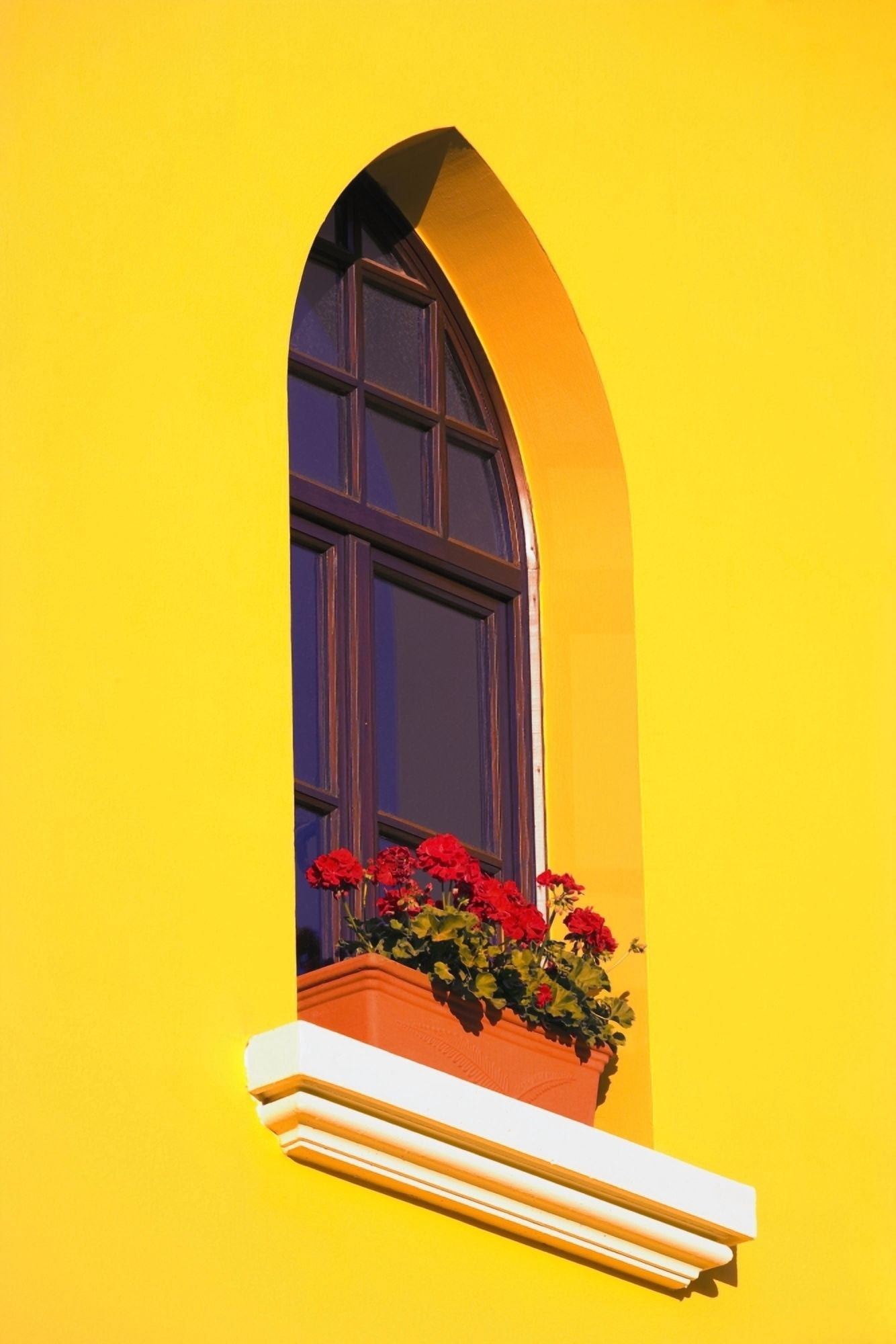 A Window In A Bright Yellow Wall Canvas Art - Carson Ganci Design Pics (22 x 34)