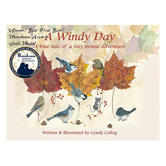 Pre-Owned A Windy Day : A True Tale of a Tiny Mouse Adventure (Hardcover) 9780692793244