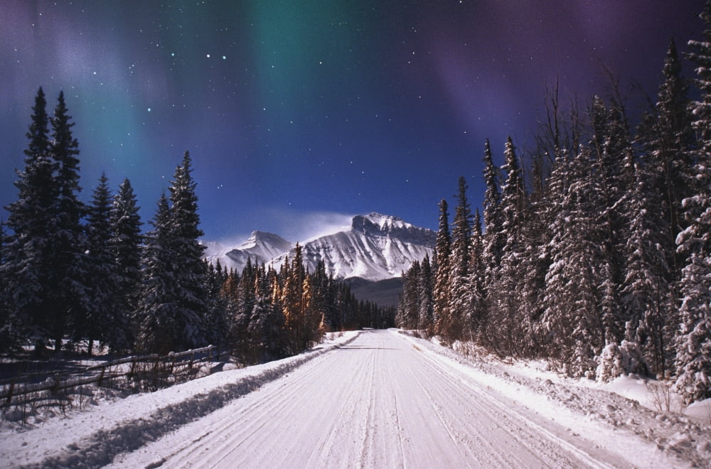 A Winter Road Canvas Art - Carson Ganci Design Pics (34 x 22)