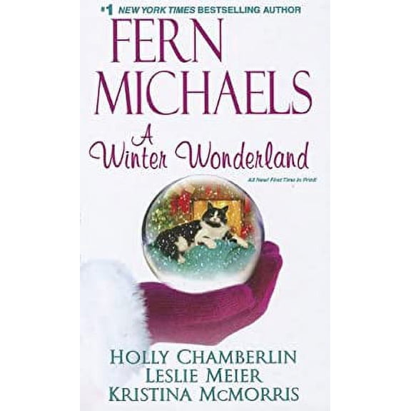 Pre-Owned A Winter Wonderland (Hardcover) 1410443671 9781410443670