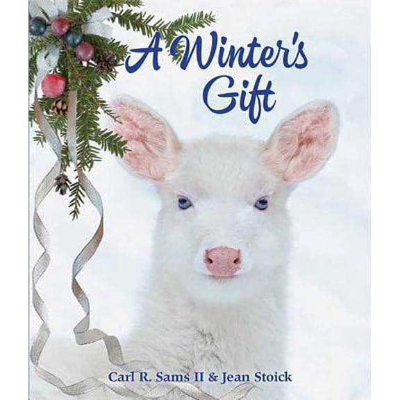 Pre-Owned A Winter's Gift (Unknown) 0982762593 9780982762592
