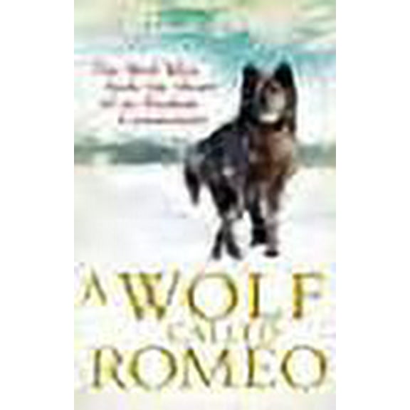 A Wolf Called Romeo Nick Jans (Paperback)