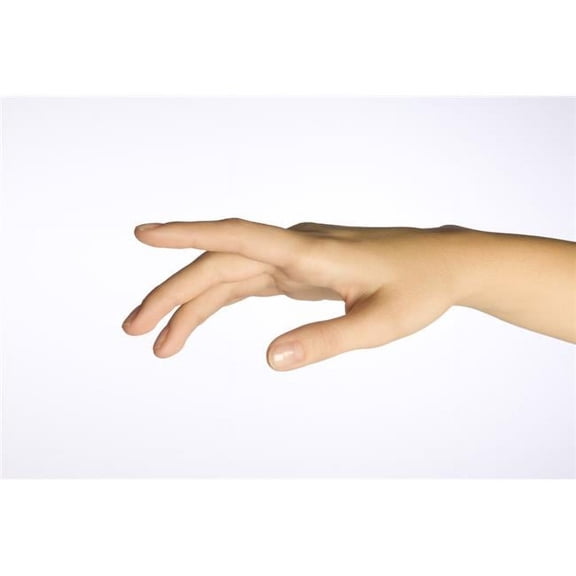 A Womans Hand Poster Print - 36 x 24