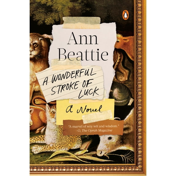 A Wonderful Stroke of Luck (Paperback) by Ann Beattie (Good)