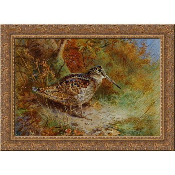 A Woodcock 24x18 Gold Ornate Wood Framed Canvas Art by Archibald Thorburn