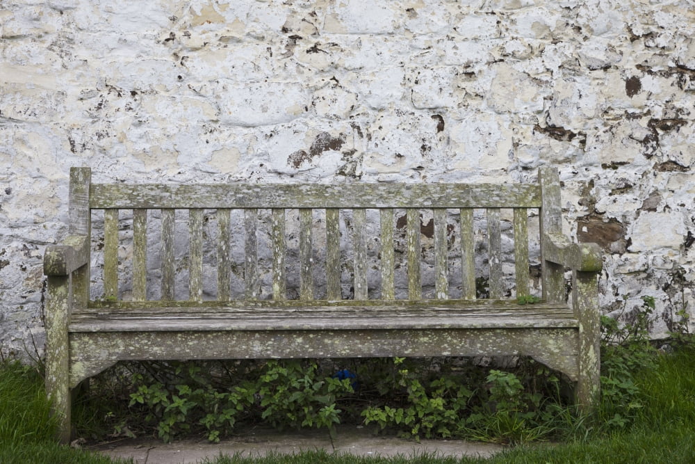 A Wooden Bench With Peeling Paint Against A White Wall Northumberland England Canvas Art - John Short Design Pics (38 x 24)