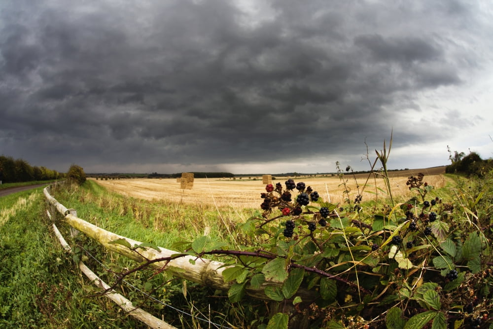 A Wooden Rail Fence Along The Edge Of A Farm Field Under Storm Clouds Northumberland England Canvas Art - John Short Design Pics (19 x 12)