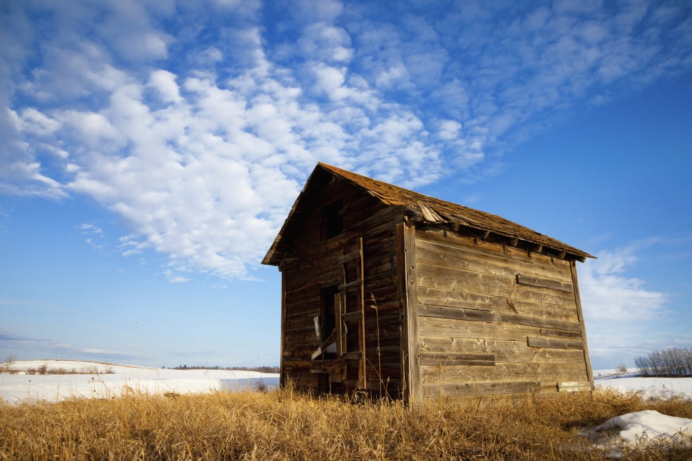 A Wooden Shed Stands Alone In A Snow Covered Field Alberta Canada Canvas Art - Steve Nagy Design Pics (38 x 24)
