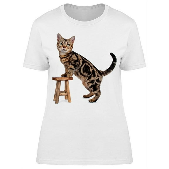 A Wooden Stool And A Cat T-Shirt Women -Image by Shutterstock, Female Small