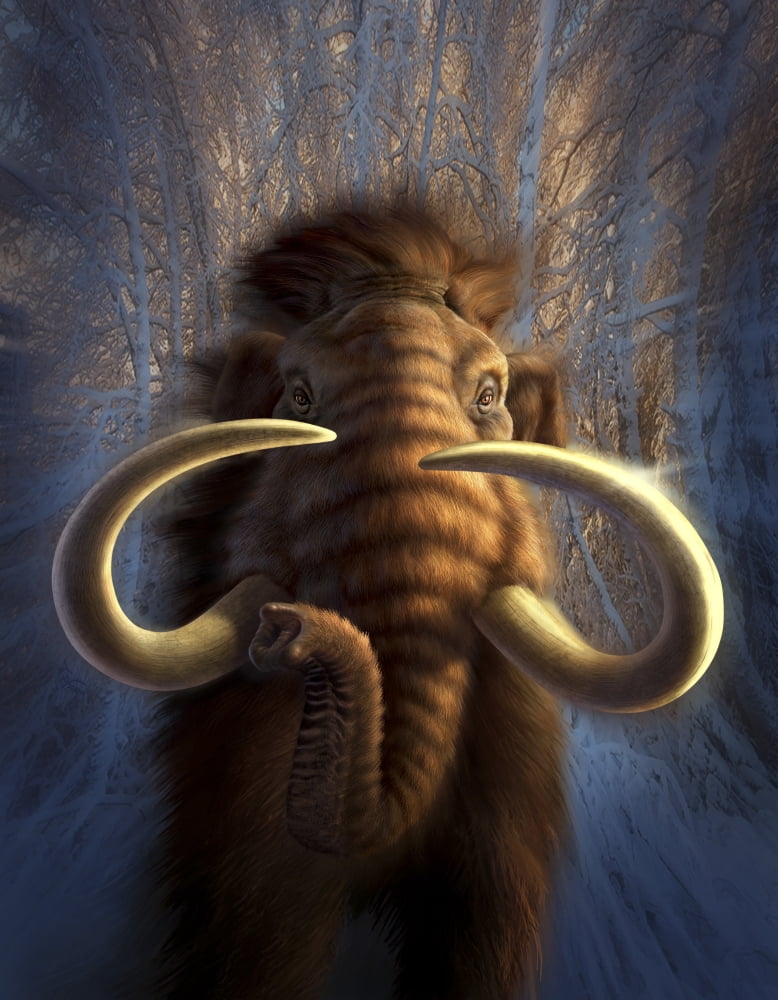 A Woolly Mammoth bursting out of a snowy wooded backdrop Canvas Art - Jerry LoFaroStocktrek Images (13 x 16)