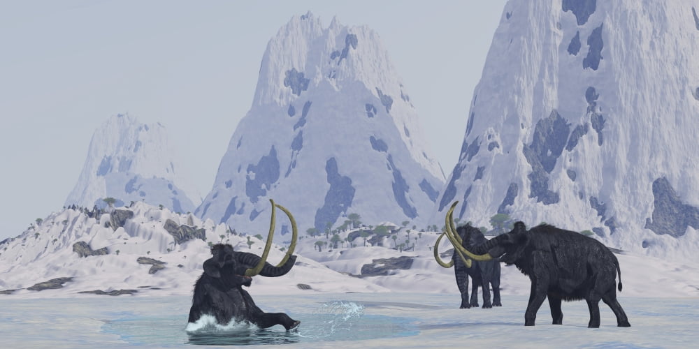 A Woolly Mammoth struggles for survival as he falls through ice on a frozen lake Canvas Art - Corey FordStocktrek Images (40 x 20)