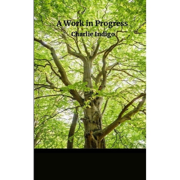 A Work in Progress..., (Paperback)