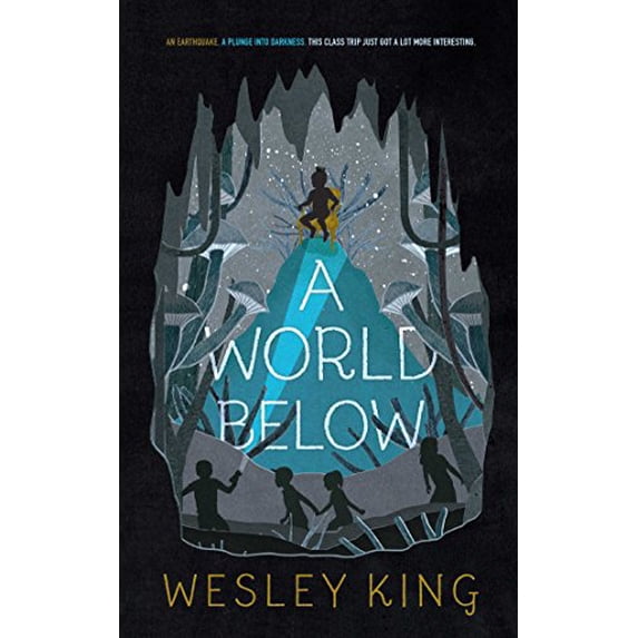 Pre-Owned A World Below Paperback