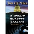 thumbnail image 1 of A World Without Secrets, (Paperback), 1 of 1