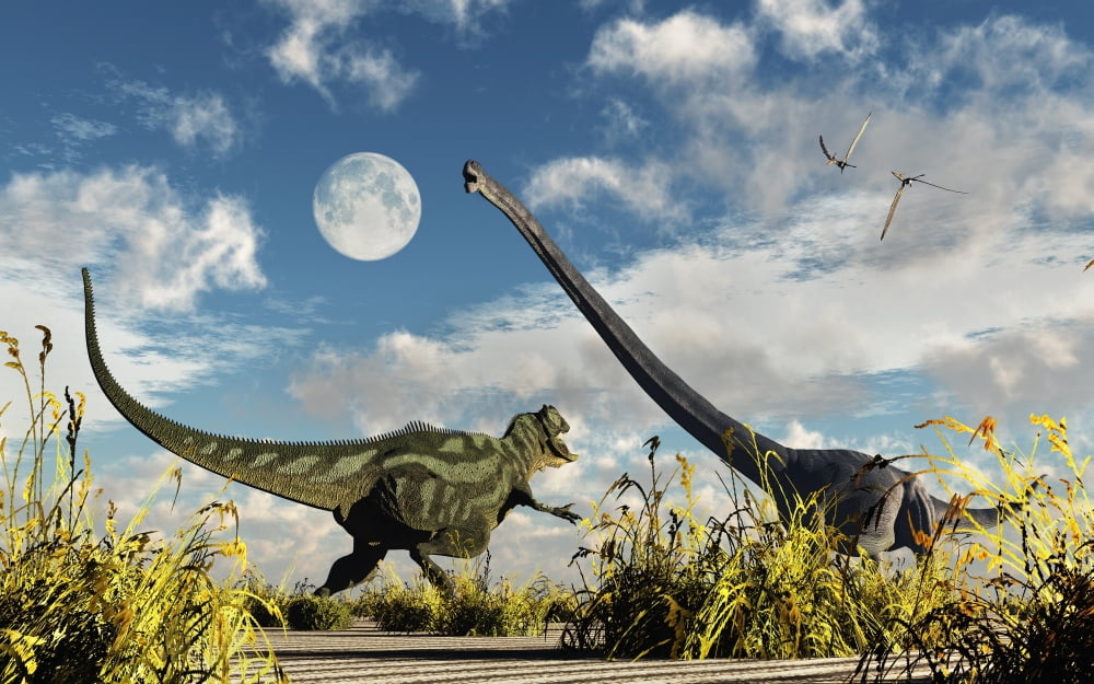 A Yangchuanosaurus dinosaur confronting an Omeisaurus Canvas Art - Mark StevensonStocktrek Images (36 x 23)