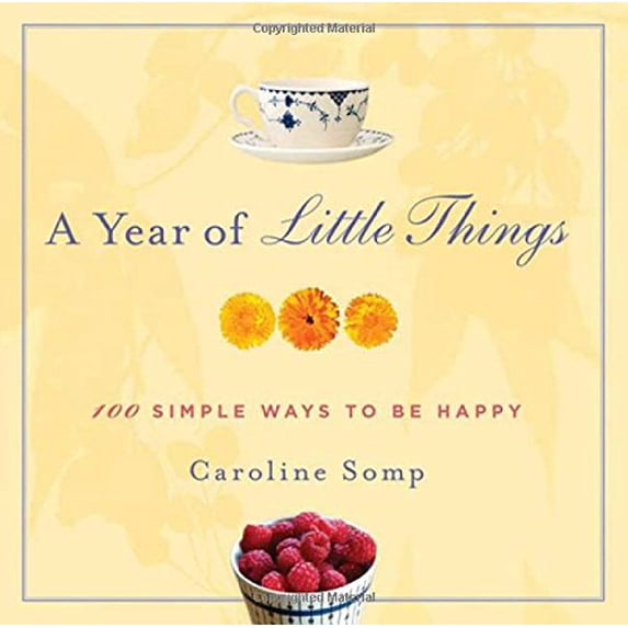 Pre-Owned A Year of Little Things: 100 Simple Ways to Be Happy (Hardcover) 0312557620 9780312557621