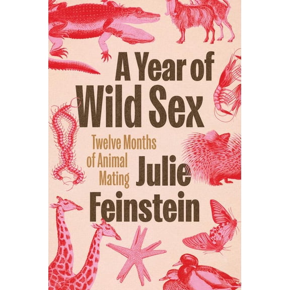 A Year of Wild Sex: Twelve Months of Animal Mating, (Hardcover)